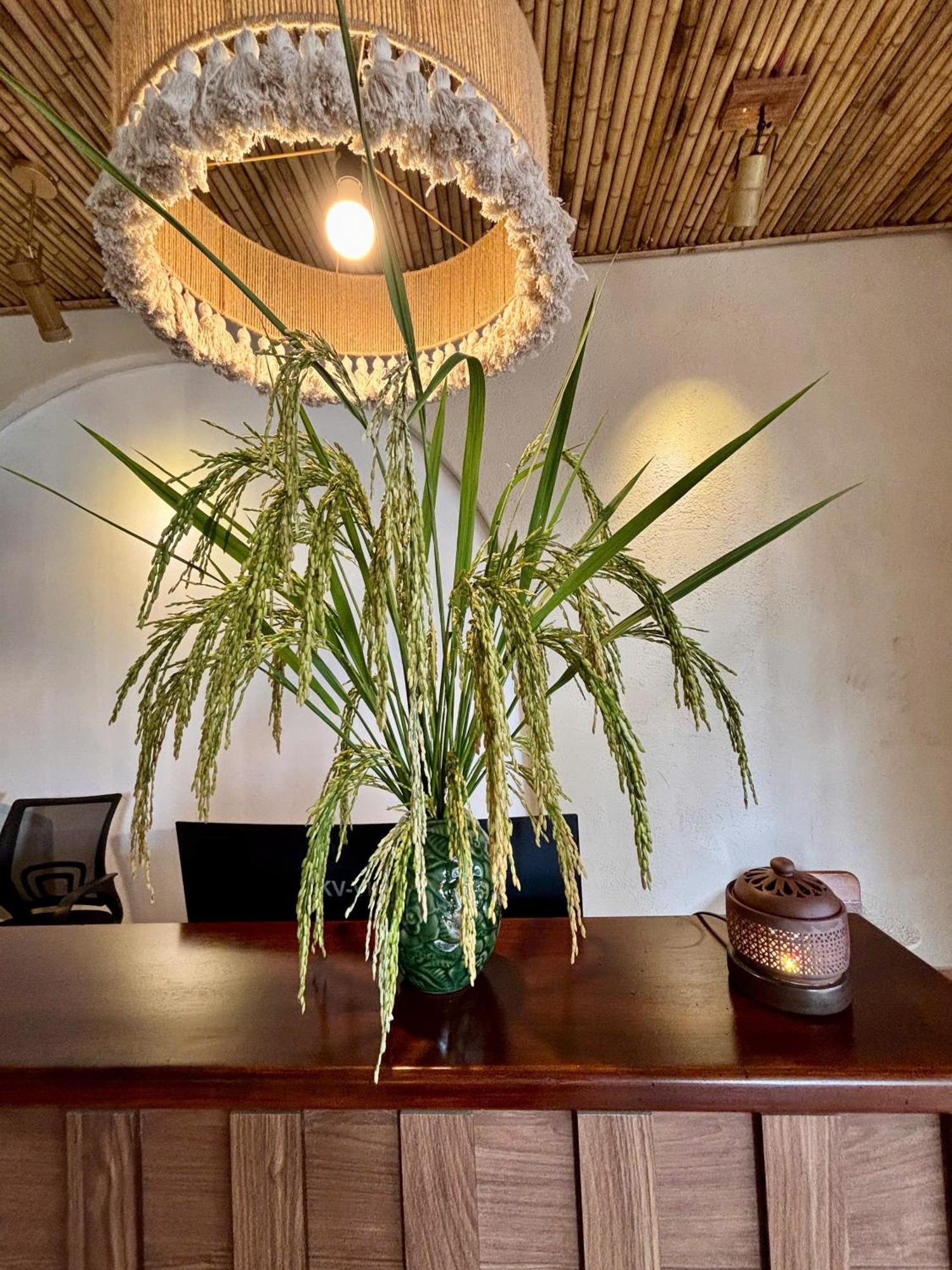 Truong Giang Boutique Hotel Lang Mon Esterno foto