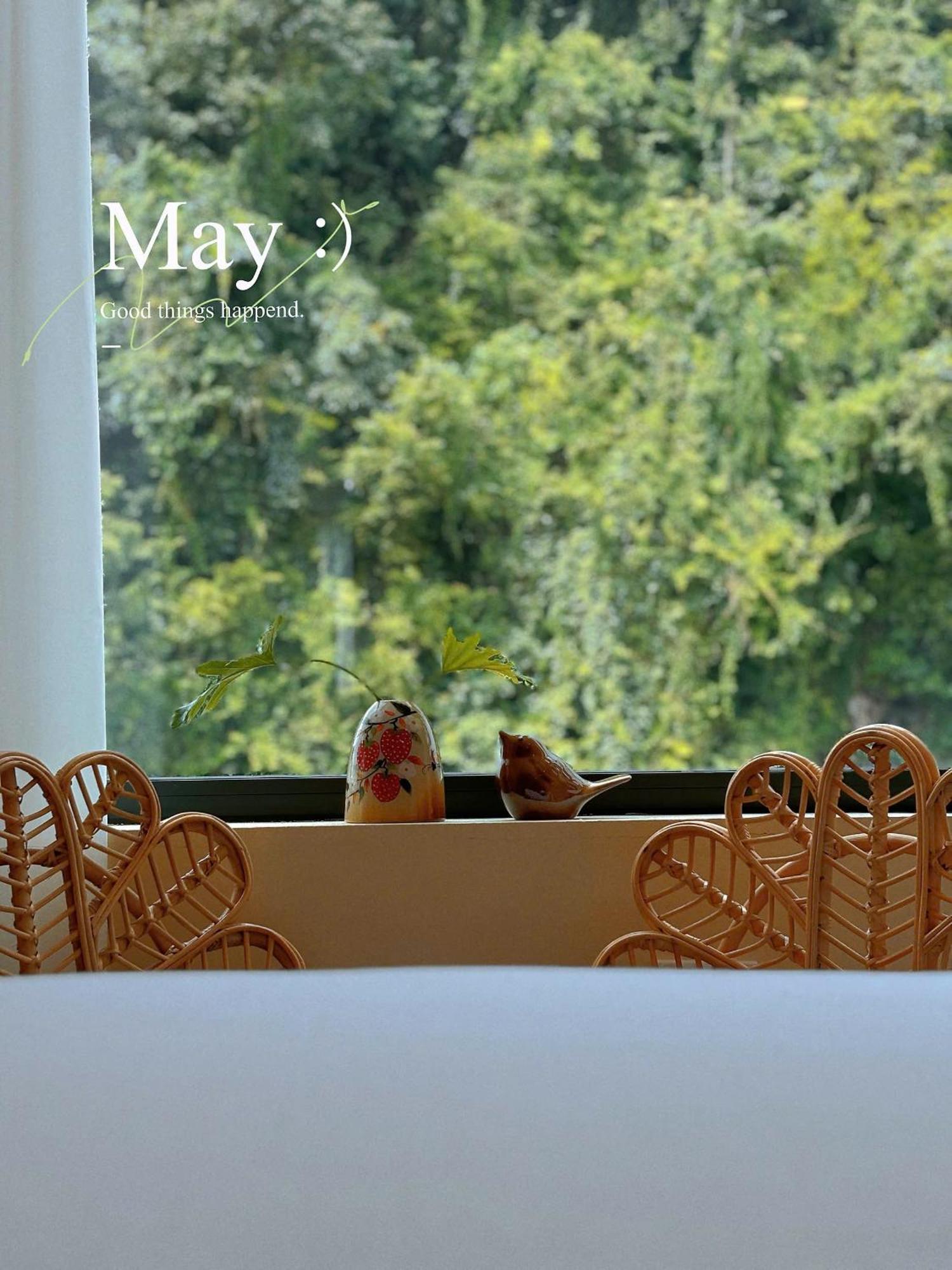 Truong Giang Boutique Hotel Lang Mon Esterno foto